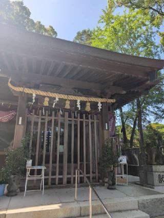 諏訪神社の参拝記録(ミムさん)