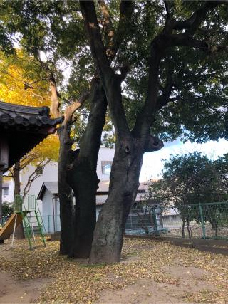 野神社の参拝記録(フクタロウさん)