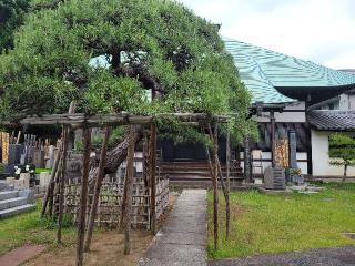 玄性山 妙雲寺の参拝記録(まっきーさん)