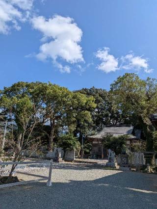 須賀神社の参拝記録(こまいぬおさん)
