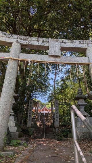 八幡神社の参拝記録(こまいぬおさん)