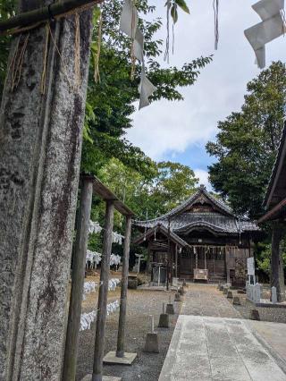 日吉神社の参拝記録(こまいぬおさん)