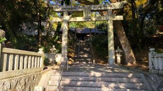 若八幡神社の参拝記録(まほろばさん)
