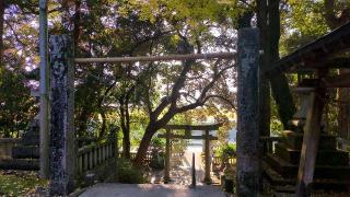 若八幡神社の参拝記録(まほろばさん)