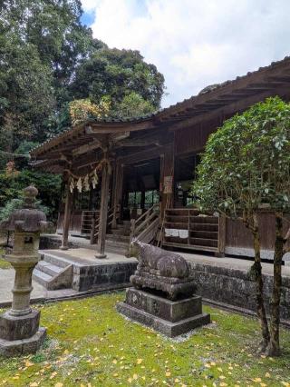 若八幡神社の参拝記録(こまいぬおさん)