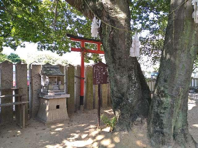 御神木(岩屋神社)の参拝記録(yukiさん)