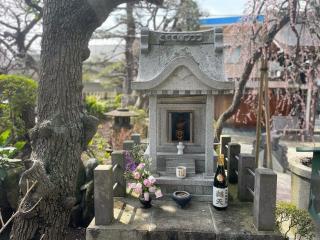 慧光山 厳定院の参拝記録(ハコさんさん)