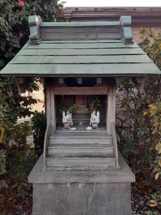 金田の稲荷神社の参拝記録(三毛猫さん)