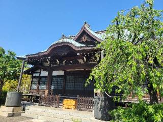 妙玄山 實相寺の参拝記録(まっきーさん)