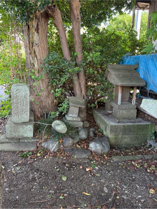 楠の道祖神  (中津 神明社境内)の参拝記録1