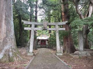 鹿嶋神社（本殿）の参拝記録(さとみさん)