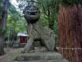 鹿嶋神社（本殿）の参拝記録(さとみさん)