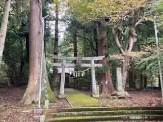 鹿嶋神社（本殿）の参拝記録(レモンサワーさん)