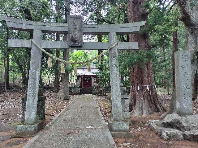 鹿嶋神社（本殿）の参拝記録1