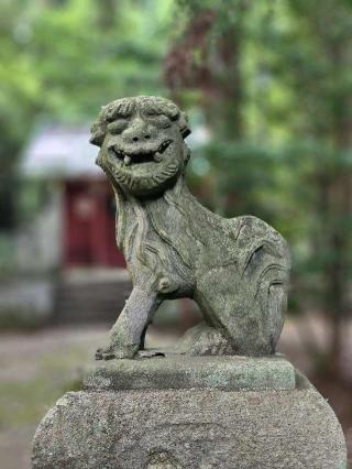 鹿嶋神社（本殿）の参拝記録(たけちゃ～ん⚾さん)
