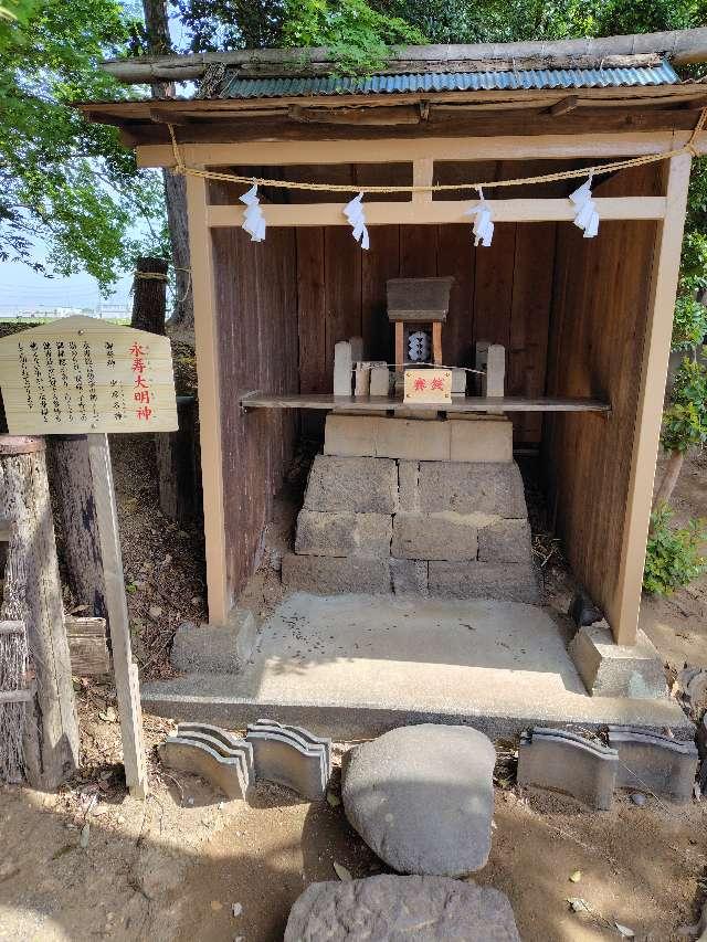 群馬県太田市世良田町1497 永寿大明神(八坂神社境内社)の写真2