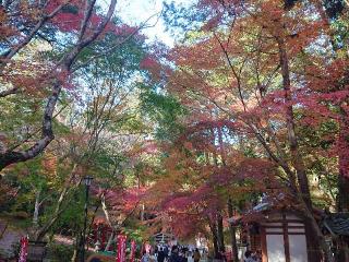 光明稲荷(油山寺境内)の参拝記録(CATSさん)