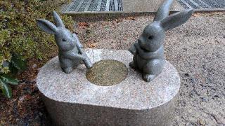 杵那築神社(杵那築森)の参拝記録(はにほへとさん)