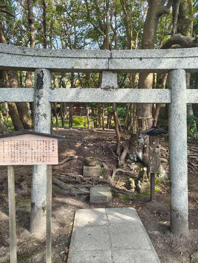 杵那築神社(杵那築森)の参拝記録3