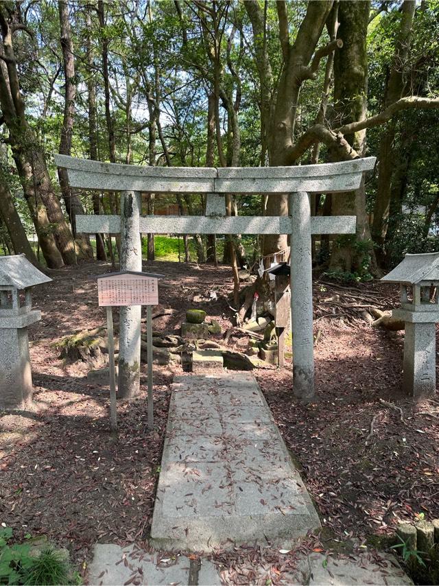 杵那築神社(杵那築森)の参拝記録3