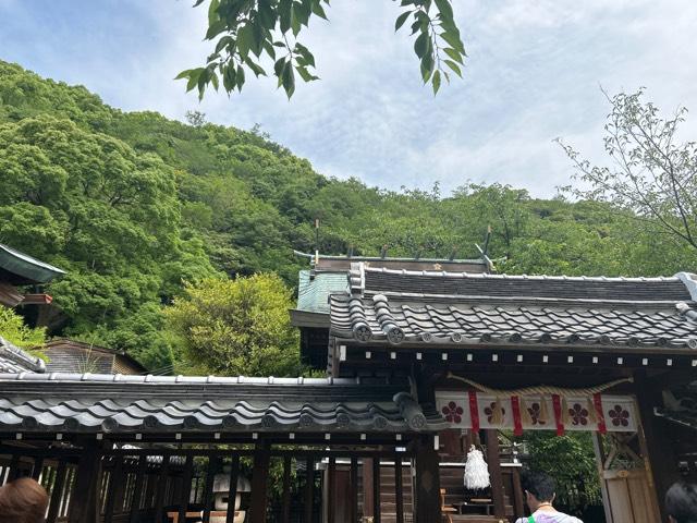 白龍大善神(北野天満神社境内)の参拝記録1