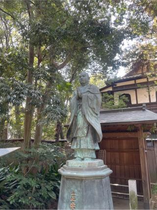 妙福寺の参拝記録(ハコさんさん)