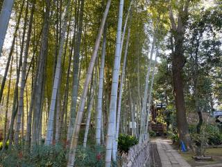 妙福寺の参拝記録(ハコさんさん)