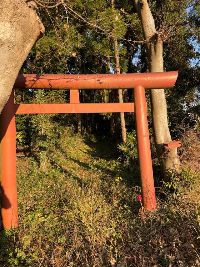 千葉県佐倉市下勝田 権現神社の写真1