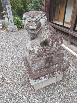 大鳥神社(住吉神社境内社)の参拝記録(はじめさん)