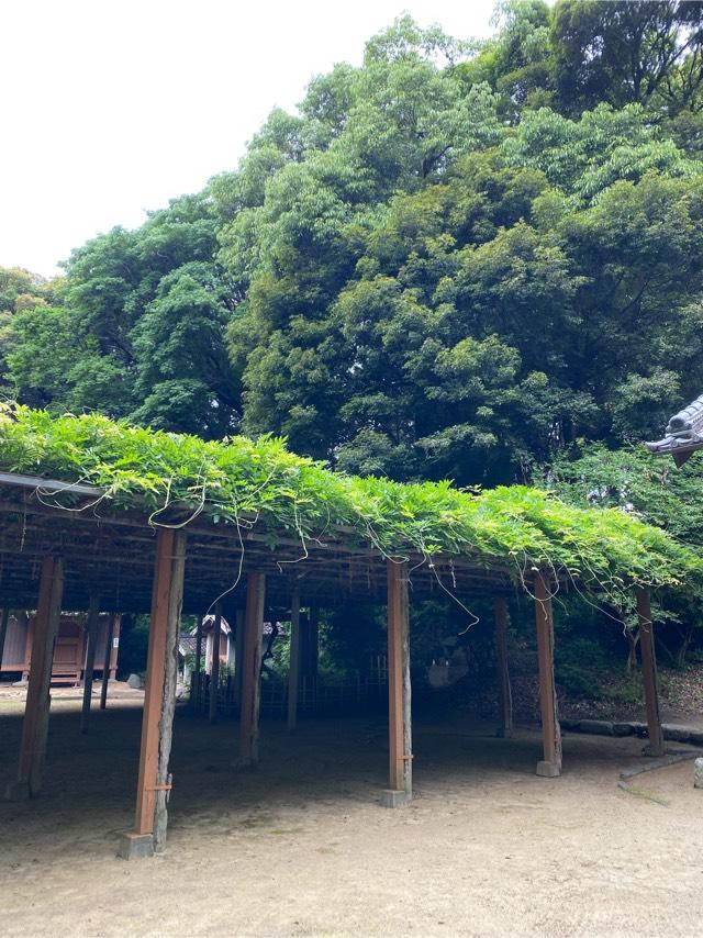 熊野神社の参拝記録(みほさん)