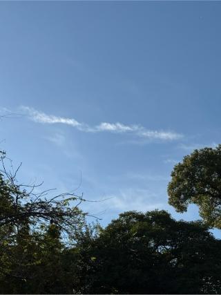 熊野神社の参拝記録(みほさん)