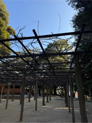熊野神社の参拝記録(みほさん)