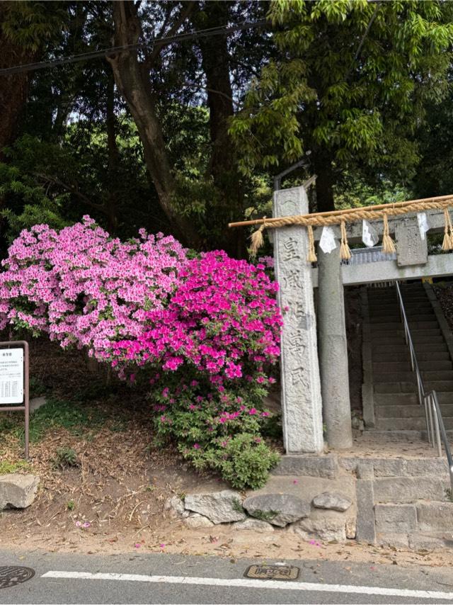 熊野神社の参拝記録3