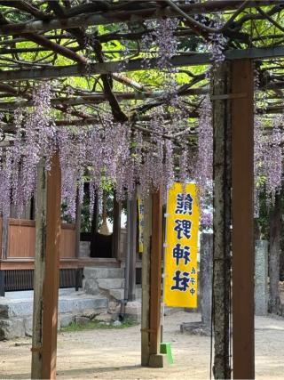 熊野神社の参拝記録(みほさん)