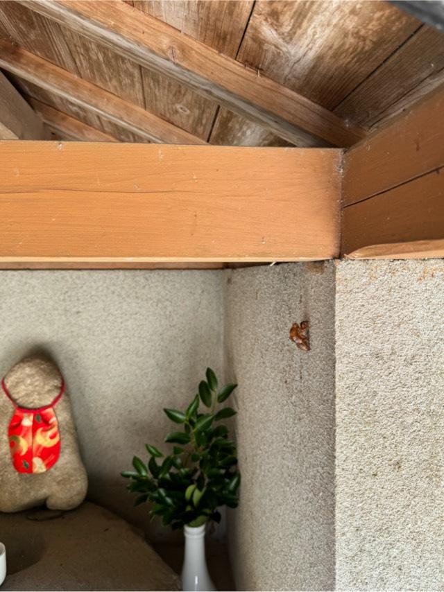 熊野神社の参拝記録2