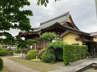 本覚寺の参拝記録(バルタさん)