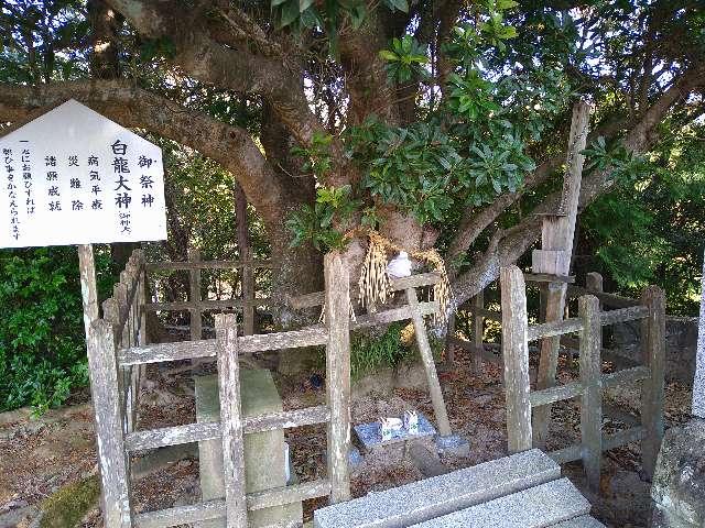 島根県出雲市大社町杵築北 白瀧大神(出雲手斧神社)の写真1
