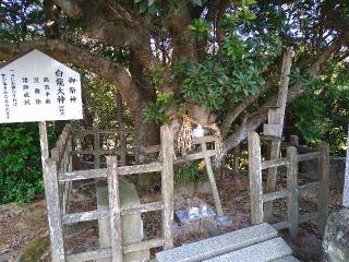 白瀧大神(出雲手斧神社)の参拝記録(yukiさん)