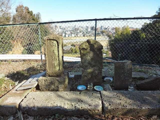 神奈川県厚木市温水４７５ 石塔(山王神社、稲荷大明神、塚霊社、大六天大明神)の写真1