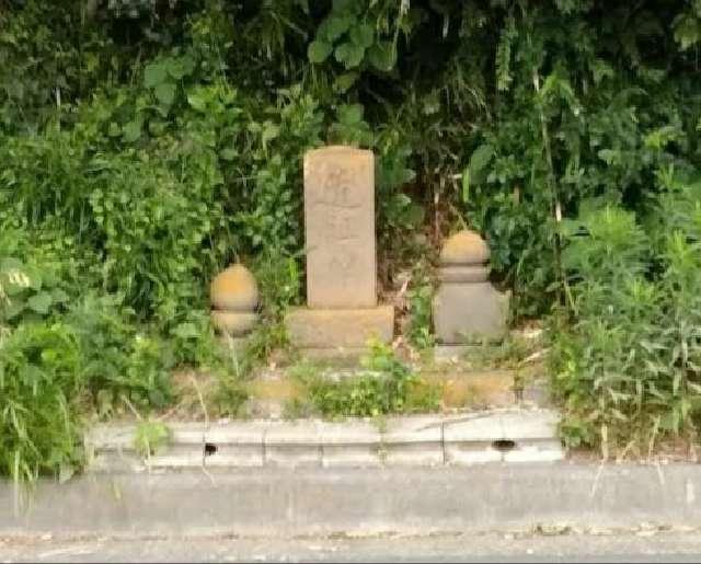 神奈川県厚木市温水５丁目７−２３６９ 恩名の道祖神(No42)の写真1