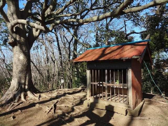 神奈川県厚木市愛名８０１ 秋葉神社の写真1