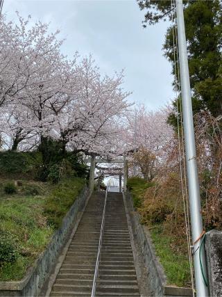 八坂熊野神社の参拝記録(みほさん)