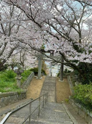 八坂熊野神社の参拝記録(みほさん)