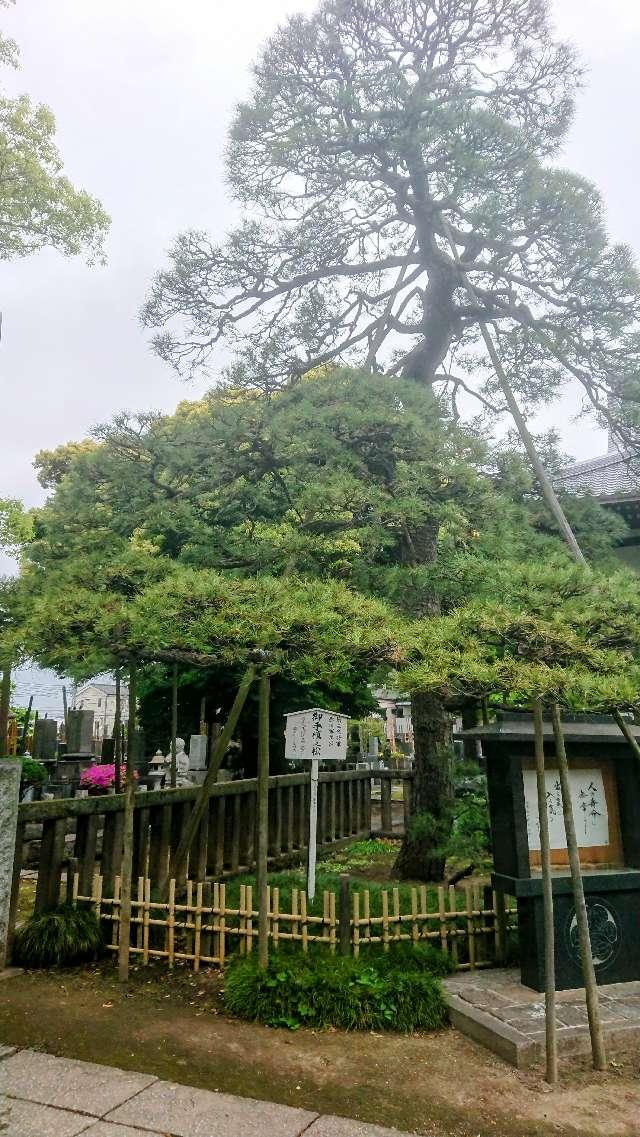 島根鷲神社富士塚の参拝記録2