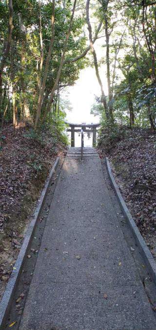 淡島神社の参拝記録(あっきーさん)