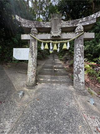 淡島神社の参拝記録(Takeru Yamatoさん)