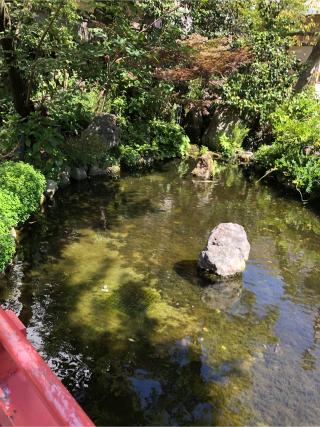 宗像神社（小梳神社境内）の参拝記録(こーちんさん)