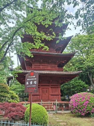法華経寺 五重塔の参拝記録(まーさんさん)