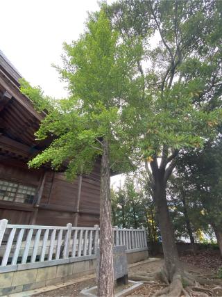 浦志八幡宮の参拝記録(みほさん)