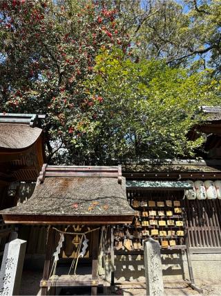 少将井社（宗像神社）の参拝記録(あきちゃんさん)